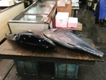 IMG_1061 IMG_1061-e1539493976899